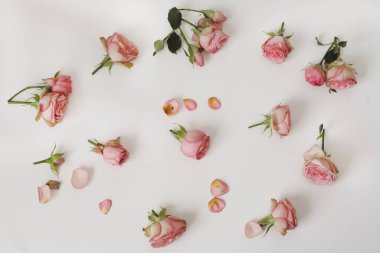 Güllü çiçek kompozisyonu. Beyaz arka planda çiçek deseni. Düz yerde, üst tarafta. Bayram kahramanı başlığı