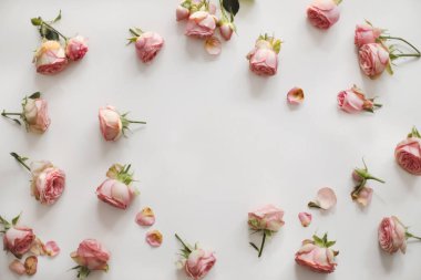 Beyaz arka planda pembe gül çiçekleri çerçeveli çiçek kompozisyonu. Düz konum, üst görünüm modeli, uzay şablonunu kopyala