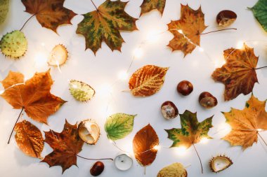 Sonbahar düzleşmesi, yaratıcı model düzenlemesi. Üst Manzara. Tebrik kartı, sonbahar, Şükran Günü konsepti..