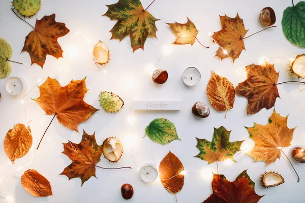 Autumn composition. Colorful fall leaves, chestnuts on white background. October flat lay. Top view, copy space. Floral design — Stock Photo, Image