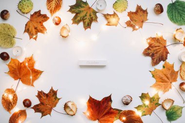 Sonbahar kompozisyonu. Beyaz arka planda orman malzemeleri. Ekim ayının düzlüklerinde, kırsal tarzda. Üst görünüm, boşluğu kopyala. Çiçek tasarımı