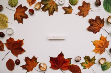 Sonbahar kompozisyonu. Beyaz arka planda orman malzemeleri. Ekim ayının düzlüklerinde, kırsal tarzda. Üst görünüm, boşluğu kopyala. Çiçek tasarımı