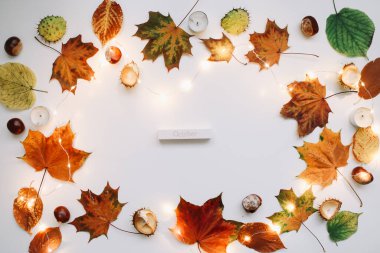 Sonbahar kompozisyonu. Beyaz arka planda orman malzemeleri. Ekim ayının düzlüklerinde, kırsal tarzda. Üst görünüm, boşluğu kopyala. Çiçek tasarımı