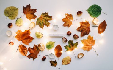 Sonbahar kompozisyonu. Renkli dökülen yapraklar, kestaneler ve diğer orman malzemeleri. Ekim ayının düzlüklerinde, kırsal tarzda. Üst görünüm