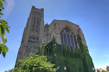 Chicago, Illinois, ABD - 23 Haziran 2018 - Chicago Üniversitesi'nde Hyde Park mahalle bulunmaktadır,.