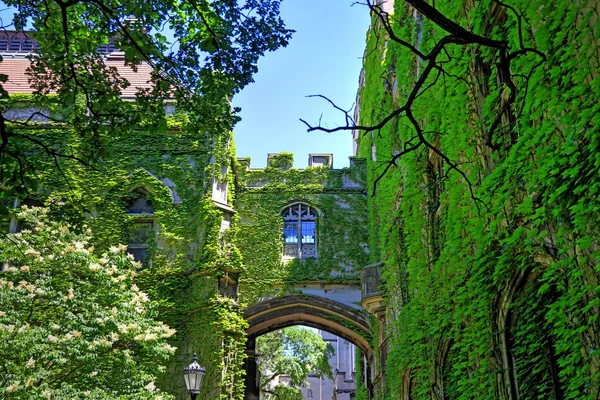 Chicago Illinois Usa June 2018 University Chicago Located Hyde Park — Stock Photo, Image