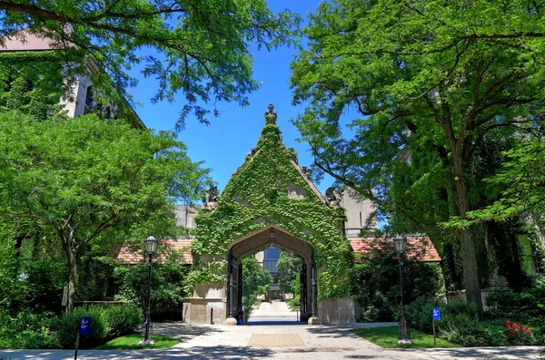 Chicago Illinois Usa June 2018 University Chicago Located Hyde Park — Stock Photo, Image