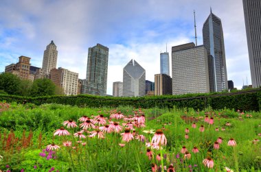 Chicago manzarası Lurie bahçesinden.