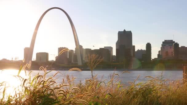 Skyline Van Louis Missouri Gateway Arch — Stockvideo