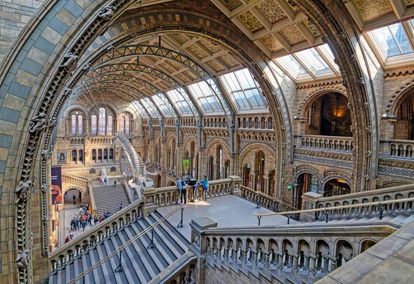Londres Reino Unido Abril 2019 Interior Del Museo Historia Natural — Foto de Stock