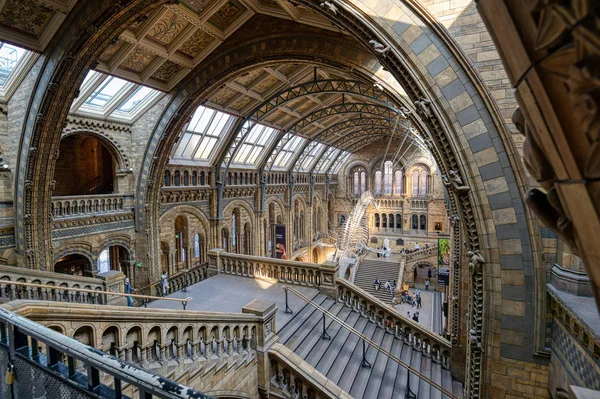 Londres Royaume Uni Avril 2019 Intérieur Musée Histoire Naturelle Squelette — Photo