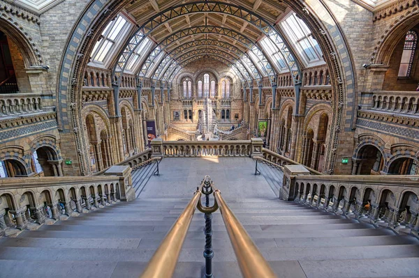 Londres Royaume Uni Avril 2019 Intérieur Musée Histoire Naturelle Squelette — Photo