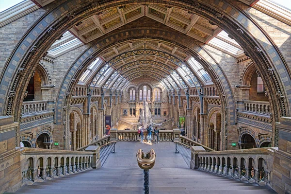 Londres Royaume Uni Avril 2019 Intérieur Musée Histoire Naturelle Squelette — Photo