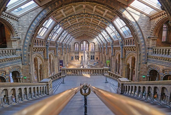 London Vereinigtes Königreich April 2019 Das Innere Des Naturkundemuseums Und — Stockfoto