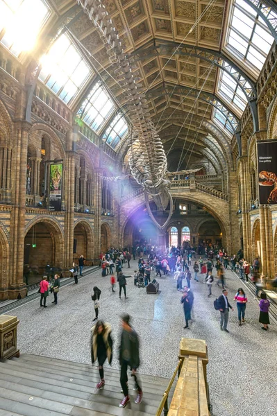 Londra Birleşik Krallık Nisan 2019 Doğal Tarih Müzesi Nin Içi — Stok fotoğraf