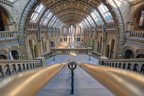 London United Kingdom April 2019 Interior Natural History Museum Whale Stock Picture
