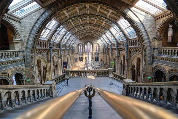 London Vereinigtes Königreich April 2019 Das Innere Des Naturkundemuseums Und lizenzfreie Stockbilder