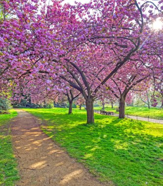 Hyde Park 'ta bahar merkezi Londra' da..