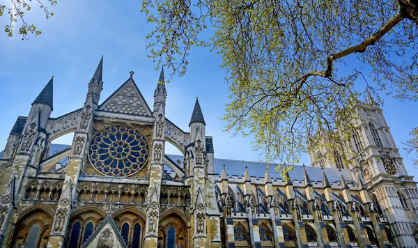 Över Westminster Abbey Solig Dag London Storbritannien — Stockfoto