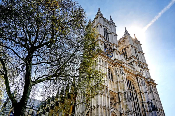 Över Westminster Abbey Solig Dag London Storbritannien — Stockfoto