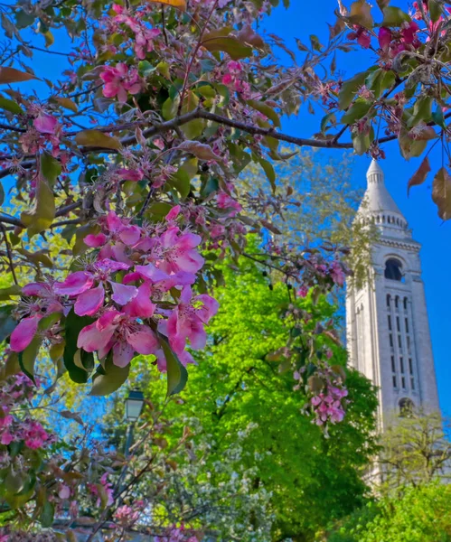 Basilica Sacred Heart Paris Commonly Known Sacre Coeur Basilica Located — Stock Photo, Image