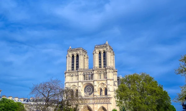 Notre Dame Kathedraal Aan Rivier Seine Parijs Frankrijk Brand April — Stockfoto