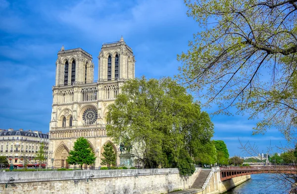 Notre Dame Kathedraal Aan Rivier Seine Parijs Frankrijk Brand April — Stockfoto