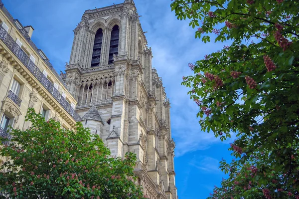 Notre Dame Kathedraal Aan Rivier Seine Parijs Frankrijk Brand April — Stockfoto