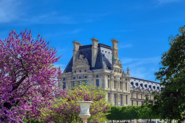 Paris, Fransa - 21 Nisan 2019 - Dünyanın en büyük sanat müzesi ve Paris, Fransa'da tarihi bir anıt olan Louvre Müzesi'nin güneşli bir günde manzarası.