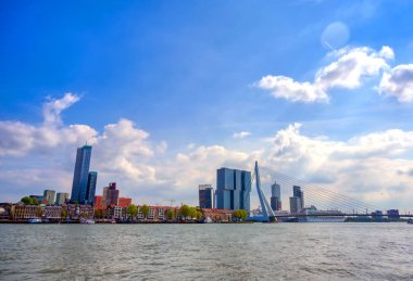 Rotterdam, Hollanda'nın kuzey ve güney kısımlarını birbirine bağlayan Erasmusbrug'un (Erasmus Köprüsü) görünümü.