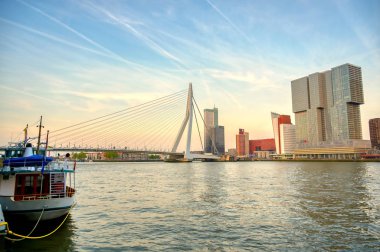 Rotterdam, Hollanda'nın kuzey ve güney kısımlarını birbirine bağlayan Erasmusbrug'un (Erasmus Köprüsü) görünümü.