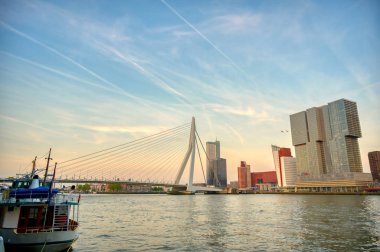 Rotterdam, Hollanda'nın kuzey ve güney kısımlarını birbirine bağlayan Erasmusbrug'un (Erasmus Köprüsü) görünümü.