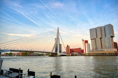 Rotterdam, Hollanda'nın kuzey ve güney kısımlarını birbirine bağlayan Erasmusbrug'un (Erasmus Köprüsü) görünümü.