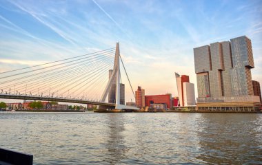 Rotterdam, Hollanda'nın kuzey ve güney kısımlarını birbirine bağlayan Erasmusbrug'un (Erasmus Köprüsü) görünümü.