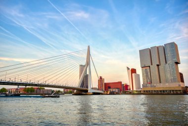 Rotterdam, Hollanda'nın kuzey ve güney kısımlarını birbirine bağlayan Erasmusbrug'un (Erasmus Köprüsü) görünümü.