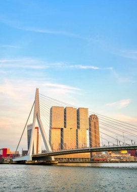Rotterdam, Hollanda'nın kuzey ve güney kısımlarını birbirine bağlayan Erasmusbrug'un (Erasmus Köprüsü) görünümü.