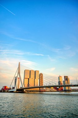 Rotterdam, Hollanda'nın kuzey ve güney kısımlarını birbirine bağlayan Erasmusbrug'un (Erasmus Köprüsü) görünümü.