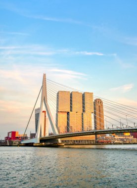 Rotterdam, Hollanda'nın kuzey ve güney kısımlarını birbirine bağlayan Erasmusbrug'un (Erasmus Köprüsü) görünümü.
