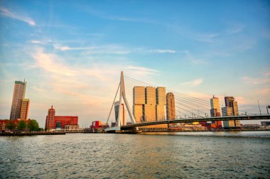 Rotterdam, Hollanda'nın kuzey ve güney kısımlarını birbirine bağlayan Erasmusbrug'un (Erasmus Köprüsü) görünümü.