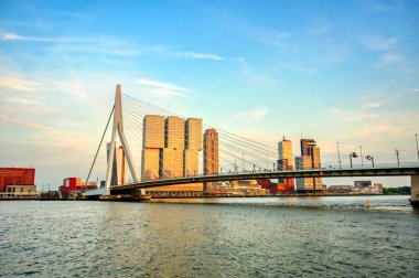 Rotterdam, Hollanda'nın kuzey ve güney kısımlarını birbirine bağlayan Erasmusbrug'un (Erasmus Köprüsü) görünümü.
