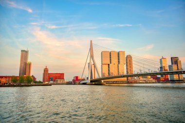 Rotterdam, Hollanda'nın kuzey ve güney kısımlarını birbirine bağlayan Erasmusbrug'un (Erasmus Köprüsü) görünümü.