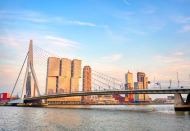 Rotterdam, Hollanda'nın kuzey ve güney kısımlarını birbirine bağlayan Erasmusbrug'un (Erasmus Köprüsü) görünümü.