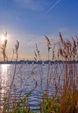 Rotterdam, Hollanda'da gün batımında Kralingse Plas gölü nün manzarası.