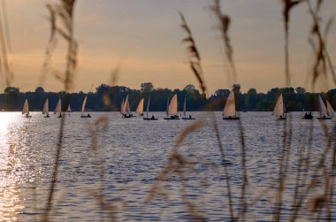 Rotterdam, Hollanda'da gün batımında Kralingse Plas gölü nün manzarası.