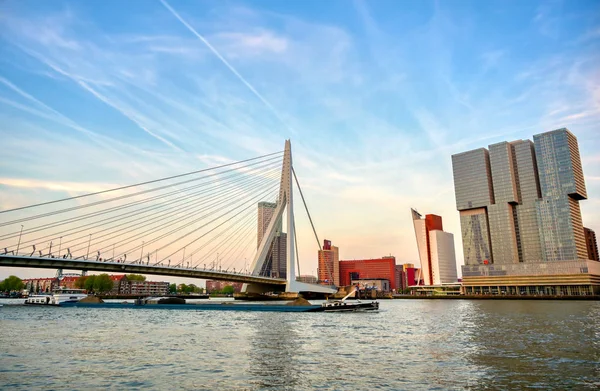 Rotterdam, Hollanda'nın kuzey ve güney kısımlarını birbirine bağlayan Erasmusbrug'un (Erasmus Köprüsü) görünümü.