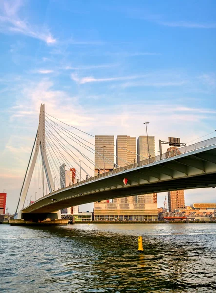 Rotterdam, Hollanda'nın kuzey ve güney kısımlarını birbirine bağlayan Erasmusbrug'un (Erasmus Köprüsü) görünümü.