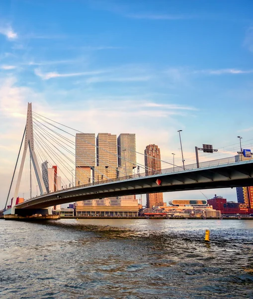 Rotterdam, Hollanda'nın kuzey ve güney kısımlarını birbirine bağlayan Erasmusbrug'un (Erasmus Köprüsü) görünümü.
