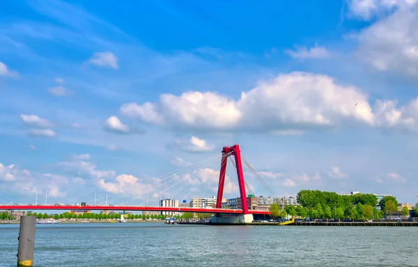 Rotterdam Hollanda Nieuwe Maas Yeni Meuse Boyunca Bir Manzara — Stok fotoğraf