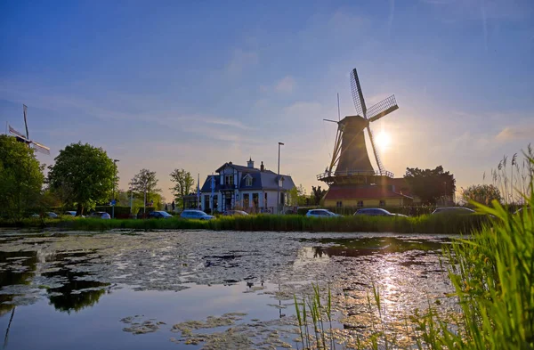 Molinos Viento Históricos Situados Lago Kralingen Rotterdam Países Bajos —  Fotos de Stock