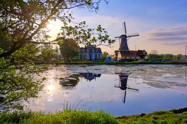 Historic Windmills Located Kralingen Lake Rotterdam Netherlands — Stock Photo, Image